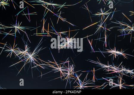 Caffeine crystals, polarised light micrograph Stock Photo