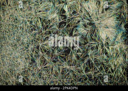 Caffeine crystals, polarised light micrograph Stock Photo