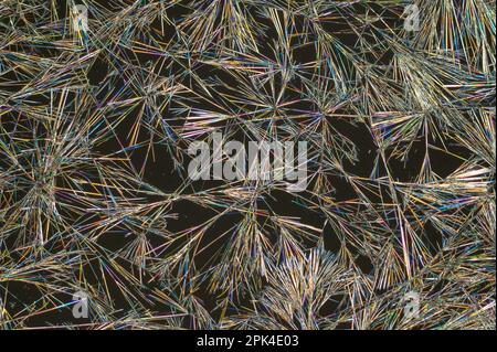 Caffeine crystals, polarised light micrograph Stock Photo