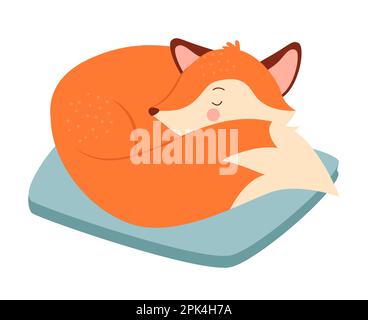 Cute fox sleeping on pillow. Lovely fox curled up in ball, forest animal vector illustration Stock Vector