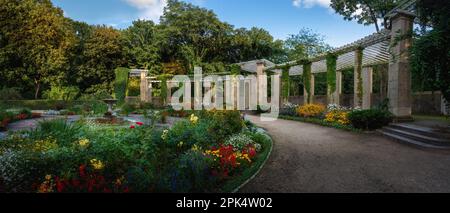 Panoramic view of Rose Garden (Rosengarten) at Tiergarten park - Berlin, Germany Stock Photo