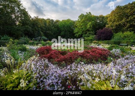 Rose Garden (Rosengarten) at Tiergarten park - Berlin, Germany Stock Photo
