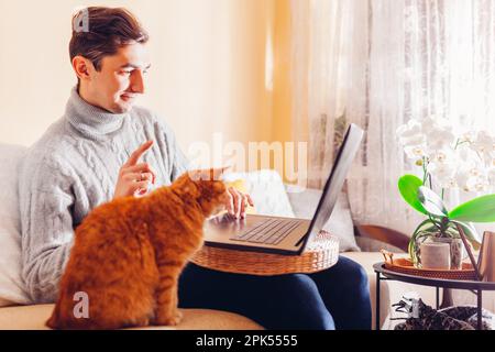 Working online from home with pet using computer. Man typing on laptop while ginger cat looking at screen. Freelance remote job Stock Photo