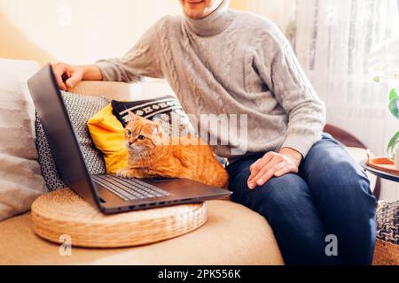Relaxing online at home with cat using computer. Man showing ginger pet videos on laptop sitting on couch looking at screen. Curious animal interested Stock Photo