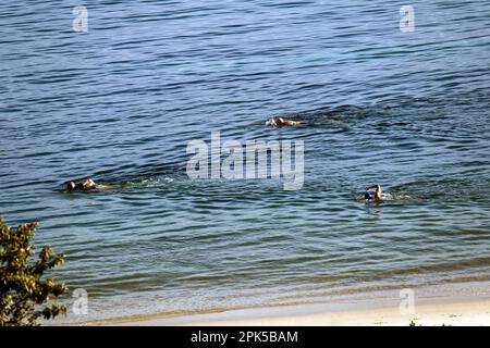 People swimming at Shoal Bay beach, Port Stephens, Mid North Coast, New South Wales, Australia. Shoal Bay is the most eastern suburb of the Port Steph Stock Photo