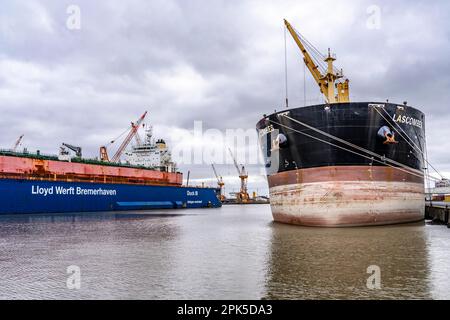 Lloyd Werft, dry dock, freighter Atlantic Journey, shipyard in the overseas port of Bremerhaven, Bremen, Germany Stock Photo