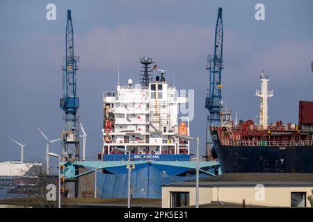 Werft Dock 5, freighter BBC Xingang dry dock, freighter Adam Schulte, shipyard in the overseas port of Bremerhaven, Bremen, Germany Stock Photo