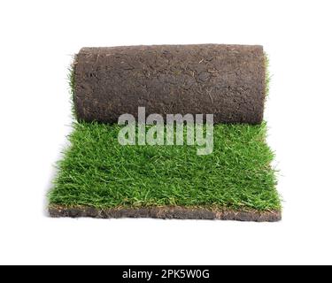 Rolled sod with grass on white background Stock Photo