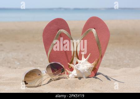 Stylish pink flip flops, sunglasses and seashell on sandy beach Stock Photo