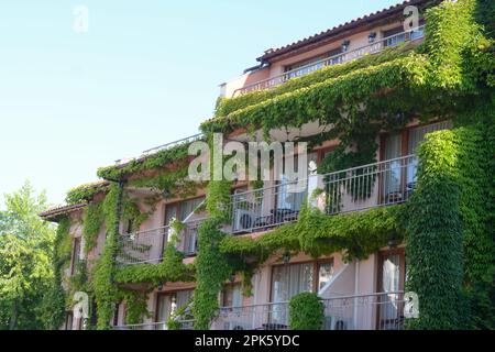 Exterior of beautiful residential building overgrown with green plants Stock Photo