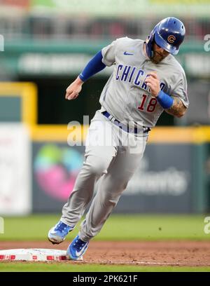 Chicago Cubs' Tucker Barnhart stands in the dugout before a