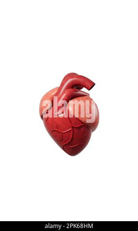 Heart model in the white background, 3d rendering. Digital drawing. Stock Photo