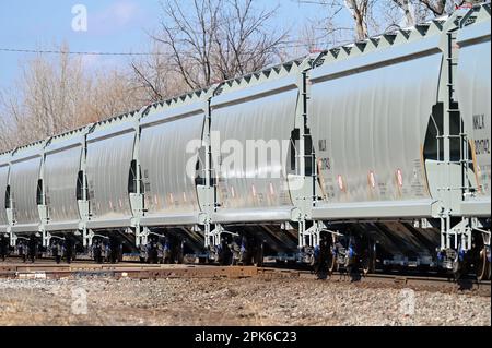 Elgin, Illinois, USA. A Canadian National Railway unit freight train of covered hoppers passing through a crossing with another railroad. Stock Photo