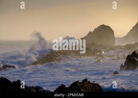 Evening atmosphere, surf, strong waves in the ocean, wild rocky coast at Tsitsikamma National Park, Garden Route, Eastern Cape, South Africa Stock Photo