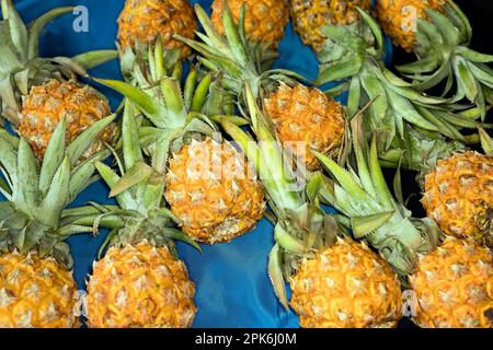 Ripe, small pineapples for sale at a farmers market, Mauritius Stock Photo
