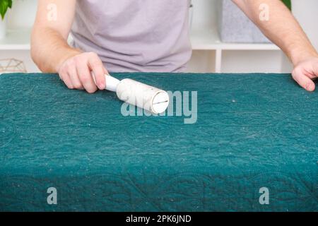 A man cleans a blanket from cat hair with a sticky roller. Roller for removing wool, hair. Lint roller. Stock Photo