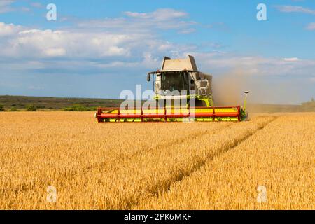 Claas combine harvester, harvesting Barley (Hordeum vulgare) 'Flagon' crop, in coastal farmland with Sheringham Shoal Offshore Wind Farm in Stock Photo