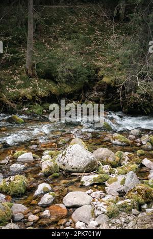 Mountain river filled with stones covered with green moss. Scarp in the background. Koscieliska Valley, Poland Stock Photo