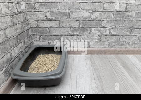 the cat tray is on the floor in the room. the cat litter box is in the corner of the room. dry cat litter box. High quality photo Stock Photo