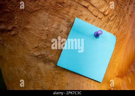 single blue square paper note with purple mapping pin on orange palm tree bark with empty free space for template or blank copy area Stock Photo