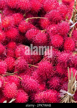 Fruits of the rambutan tree (Nephelium lappaceum) is a medium-sized tropical tree in the family Sapindaceae.  Other know names: lychee, longan, pulasa Stock Photo
