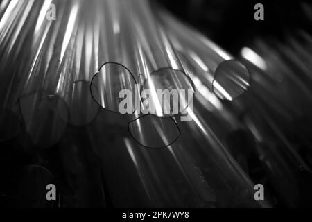 Black and white shot of broken glass tubes. Stock Photo