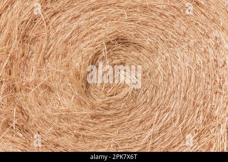 Stacked wrapped round hay bales in a field after harvest. Stock Photo