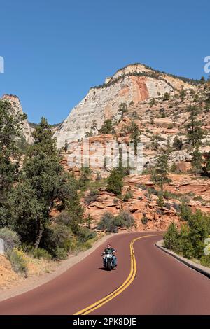 man without helmet riding his Harley Davidson motorcycle on scenic „Zion-Mount-Carmel-Highway“ past the steep mountains of eastern Zion National Park Stock Photo