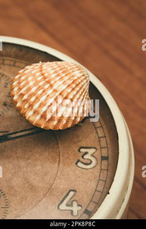 sea shell and old alarm clock Stock Photo - Alamy