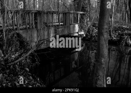 Concrete bridge over a small river in the forest, black and white photography Stock Photo