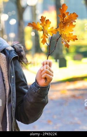 Young adult in winter jacket holding colorful branch with autumn leaves Stock Photo