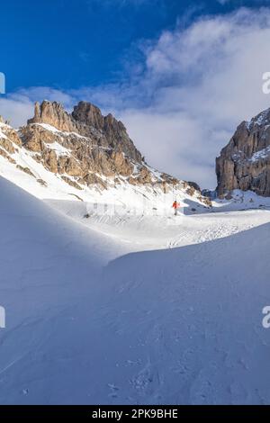 Italy, Trentino Alto Adige / South Tyrol, San Giovanni di Fassa, back country skier (ski mountaineer) in the Vaiolet valley uphill toward Passo Principe / Grasleitenpass, Catinaccio / Rosengarten group, Dolomites Stock Photo