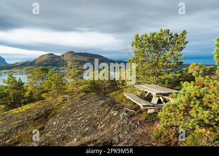 camp artikel Camp Aufkleber – THE SUNNYSIDE