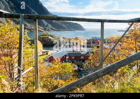 Norway, Lofoten, Flakstadoya, Nusfjord, one of the oldest and best preserved fishing villages Stock Photo