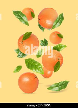 Tasty ripe grapefruits and green leaves falling on beige background Stock Photo