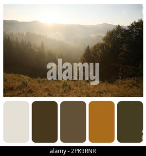 Color palette appropriate to photo of beautiful mountain landscape in morning Stock Photo