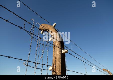 06.05.2018, Germany, Thuringia, Weimar - Buchenwald Memorial (KZ-Gedenkstaette), barbed wire fence which used to be electrified. 00A180506D386CAROEX.J Stock Photo