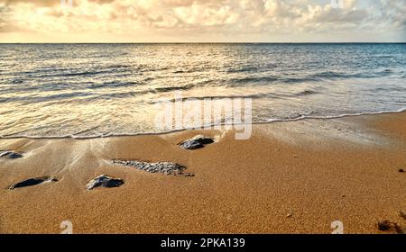 Shore Break Waves on the beach with Volcanic Rock Stock Photo
