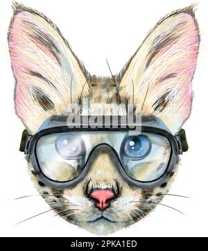 Cute cat in goggles. Cat for t-shirt graphics. Watercolor Savannah cat illustration Stock Photo