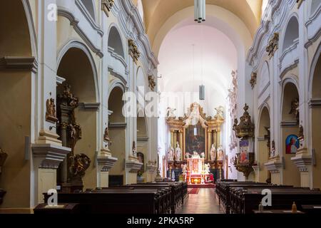 Opava (Troppau), Minorite Monastery with Church of the Holy Spirit (Kostel svateho Ducha), nave in Moravskoslezsky, Moravian-Silesian Region (Mährisch-Schlesische Region), Czechia Stock Photo