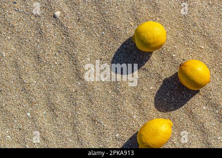 lemons lying on a tropical beach. summer beach fruits. design Stock Photo