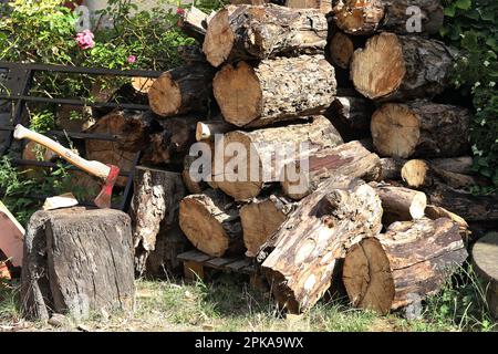 23.08.2022, Germany, Rhineland-Palatinate, Ingelheim - Axe stuck in a tree stump in front of cut tree trunks. 00S220823D170CAROEX.JPG [MODEL RELEASE: Stock Photo