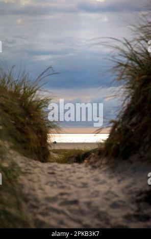 Dune, Beach, Way, Sunset, Rindby, Fanö, Island, Denmark Stock Photo