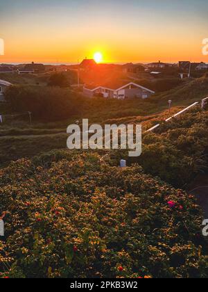 Vacation home, house, sunset, Rindby, Fanö, island, Denmark Stock Photo