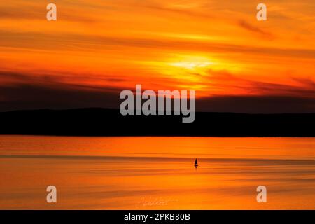 Sunset at Balaton / Lake Balaton in Hungary, romantic view over the lake Stock Photo