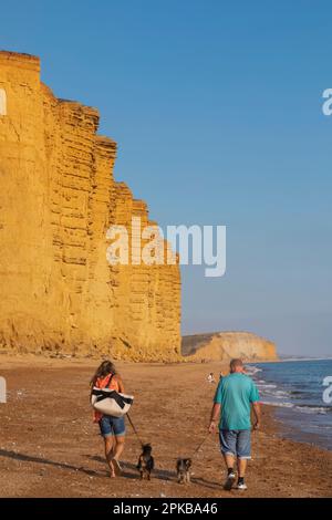 England, Dorset, Bridport, West Bay, Couple Walking Dogs on Beach Stock Photo