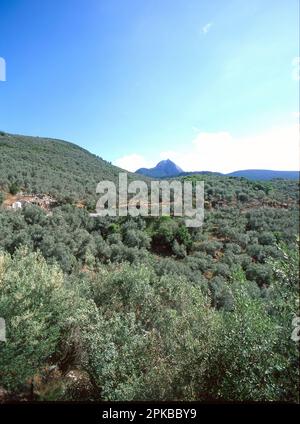 A view of Mount Olympus on Lesbos Island, Greece. Stock Photo