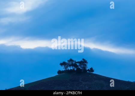 England, Dorset, Bridport, Symondsbury Estate, Colmers Hill Stock Photo