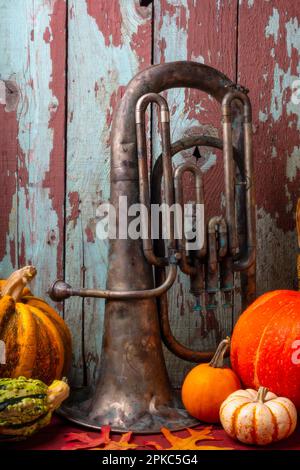 Old Tuba And Pumpkins Still Life Stock Photo