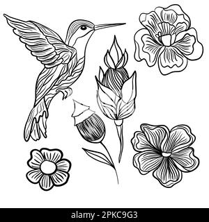 Hummingbird flying bird in doodle technique vector illustration Stock Vector